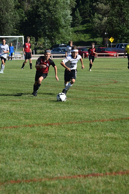 他们在上半 他们在上半